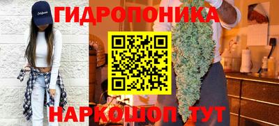 гидропоника Пугачёв