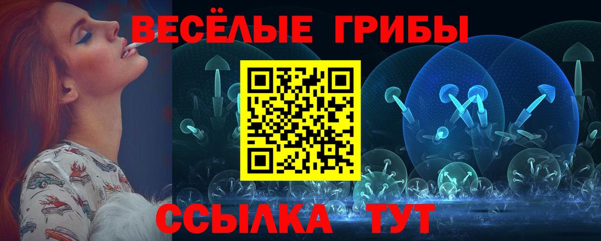 Галлюциногенные грибы GOLDEN TEACHER Сарапул